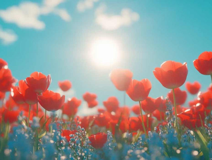 Wohlfühlen mit Flexiklima