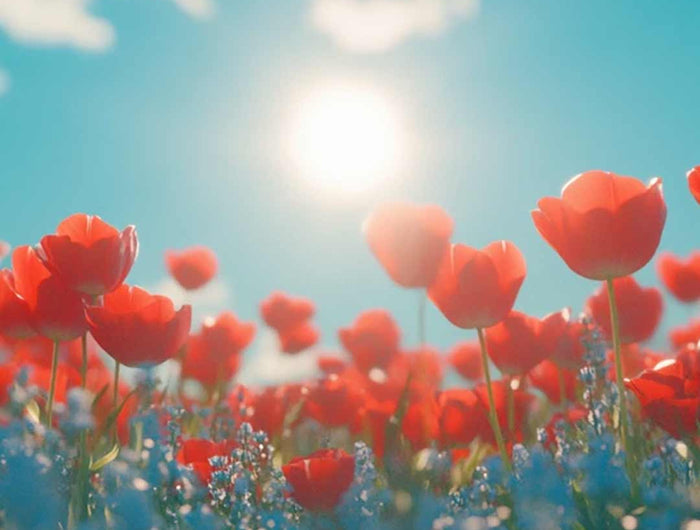 Wohlfühlen mit Flexiklima